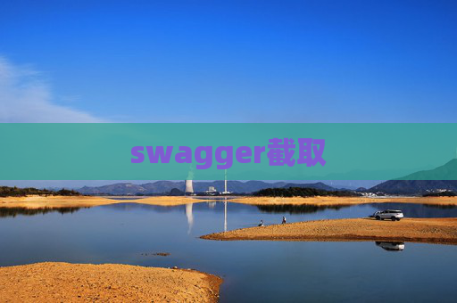 swagger截取
